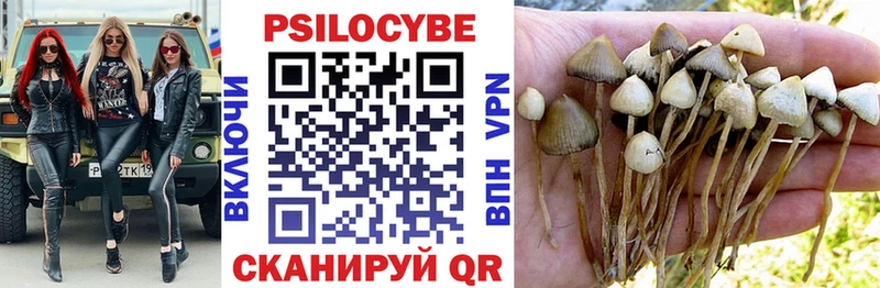 Псилоцибиновые грибы ЛСД  Санкт-Петербург 